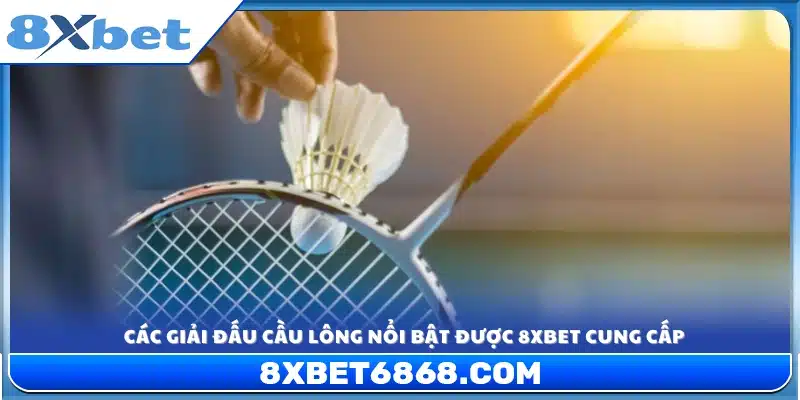 Danh sách những giải đấu cầu lông hàng đầu